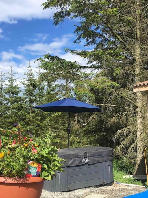 Bankhead Accommodation With Hot Tub Aberdeenshire Gamrie Zewnętrze zdjęcie